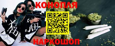 стаф Малгобек